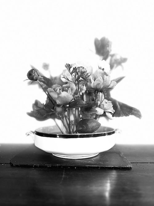 A white bowl with flowers

AI-generated content may be incorrect.